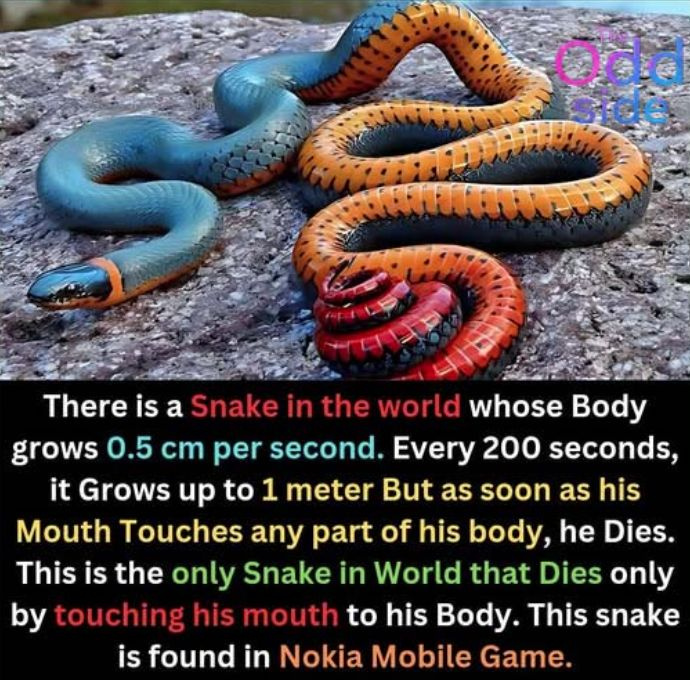 1746314905626.png