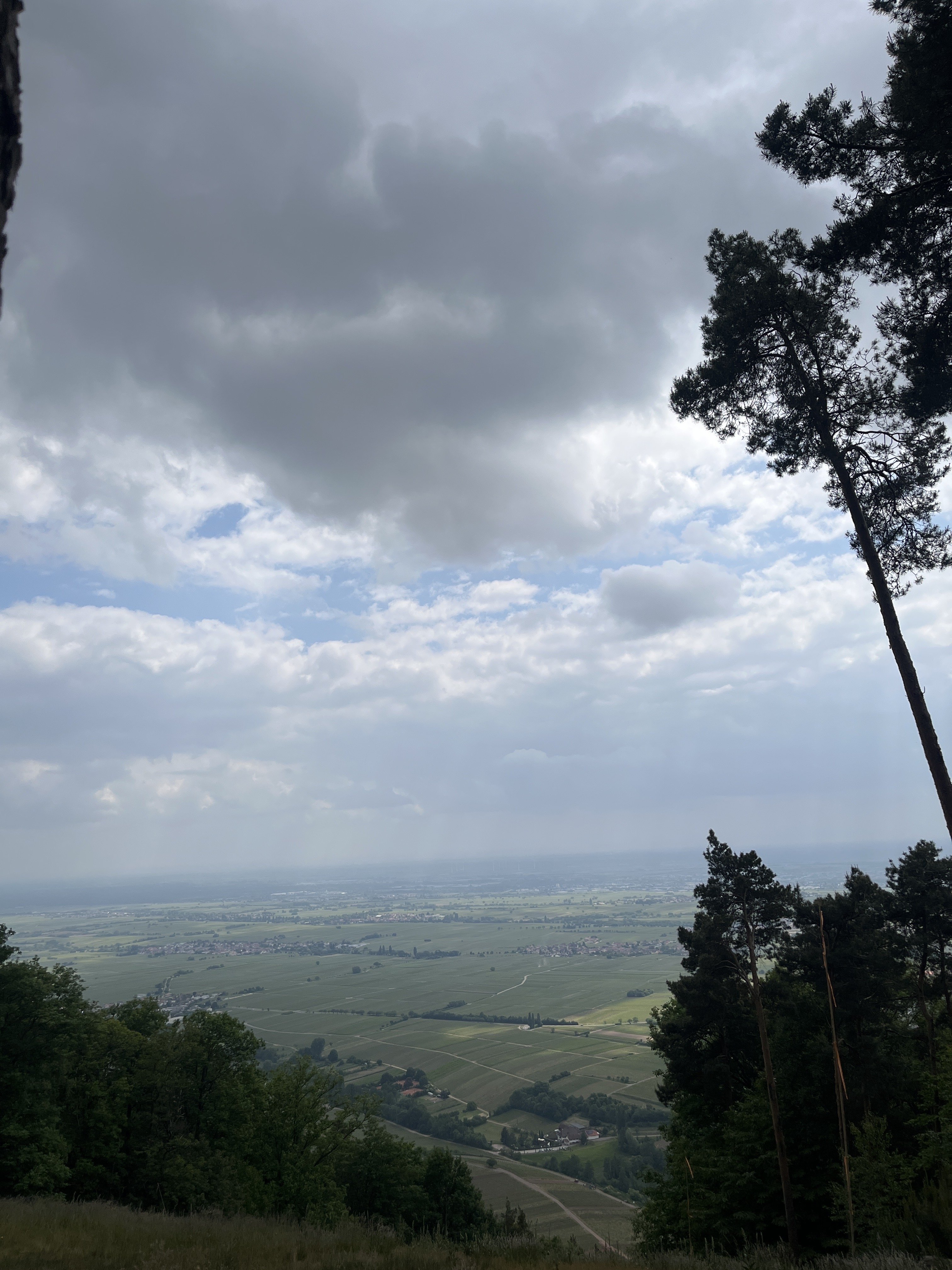 C030C859-5688-4AEB-951B-DCDF834D3B16-921-0000002C96C5807E.jpeg
