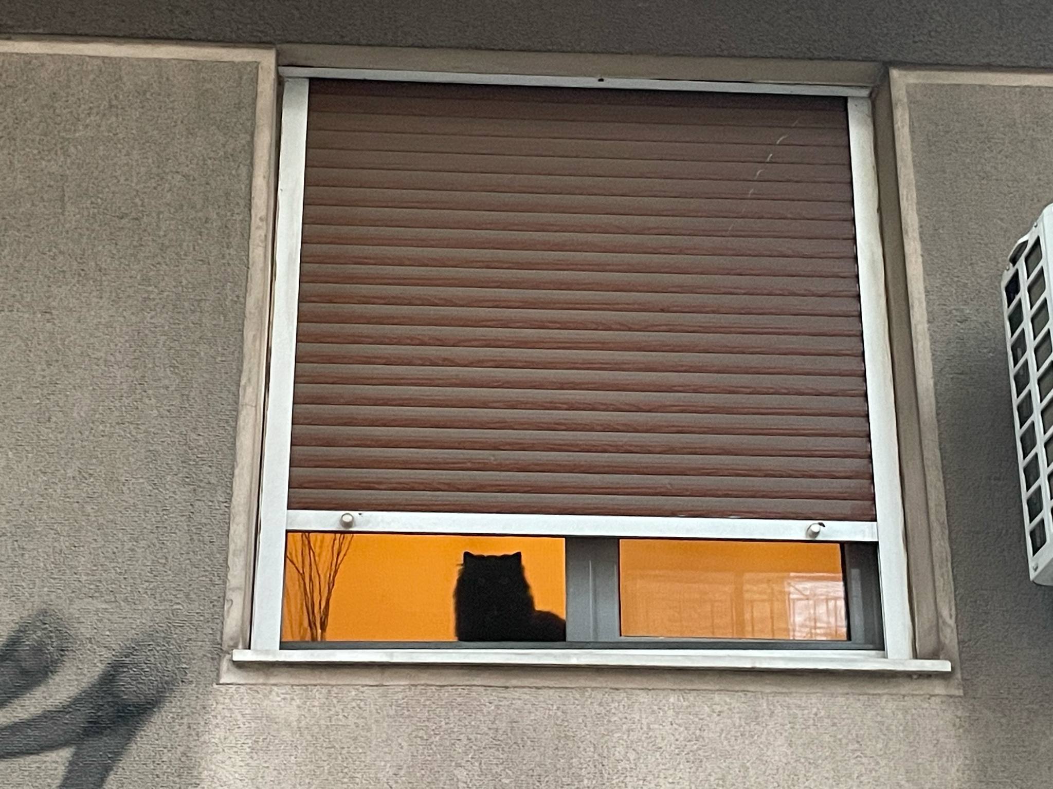 att.x3t4l9Vta7PO4eEW0-NqOQjXl_kB60CtpOdlDKU9wXg.jpeg