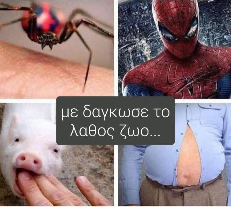 1748560927848.png