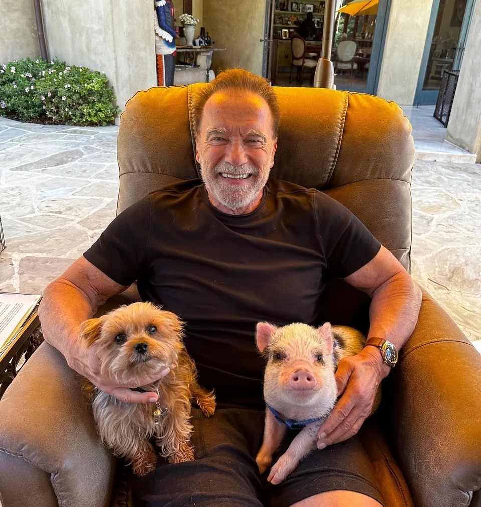 arnold-swartzenegger-polithrona.jpg