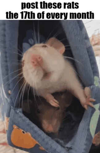 essica-monthly.gif