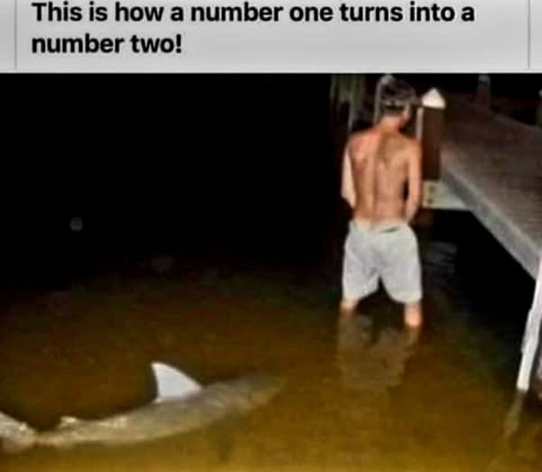 506755889_1119961120161311_2881251692358881313_n.jpg