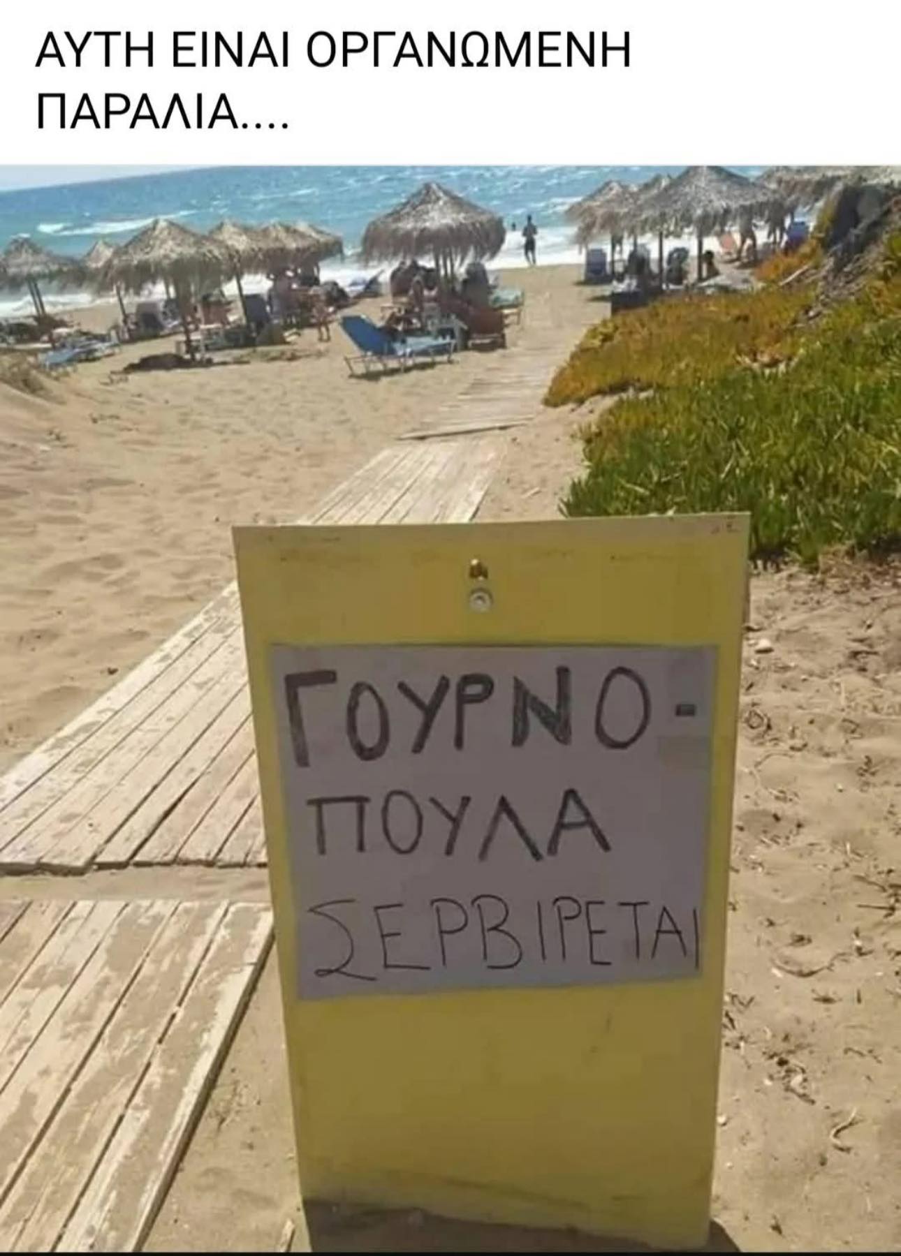 1750870446735.jpeg