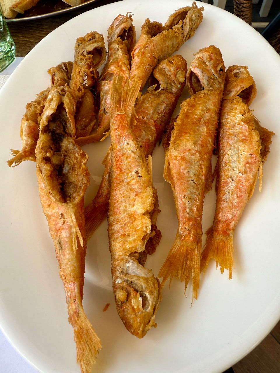 IMG_1933.jpeg