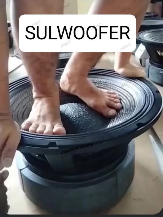 1751626854360.jpeg