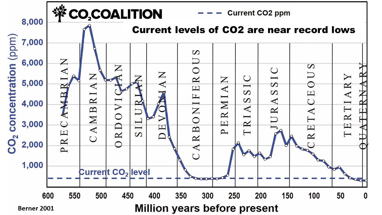 CO2_07.jpg