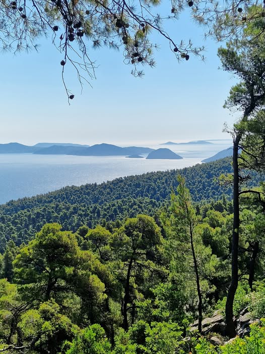 Στην μαγευτική και καταπράσινη ΣΚΟΠΕΛΟ.jpg
