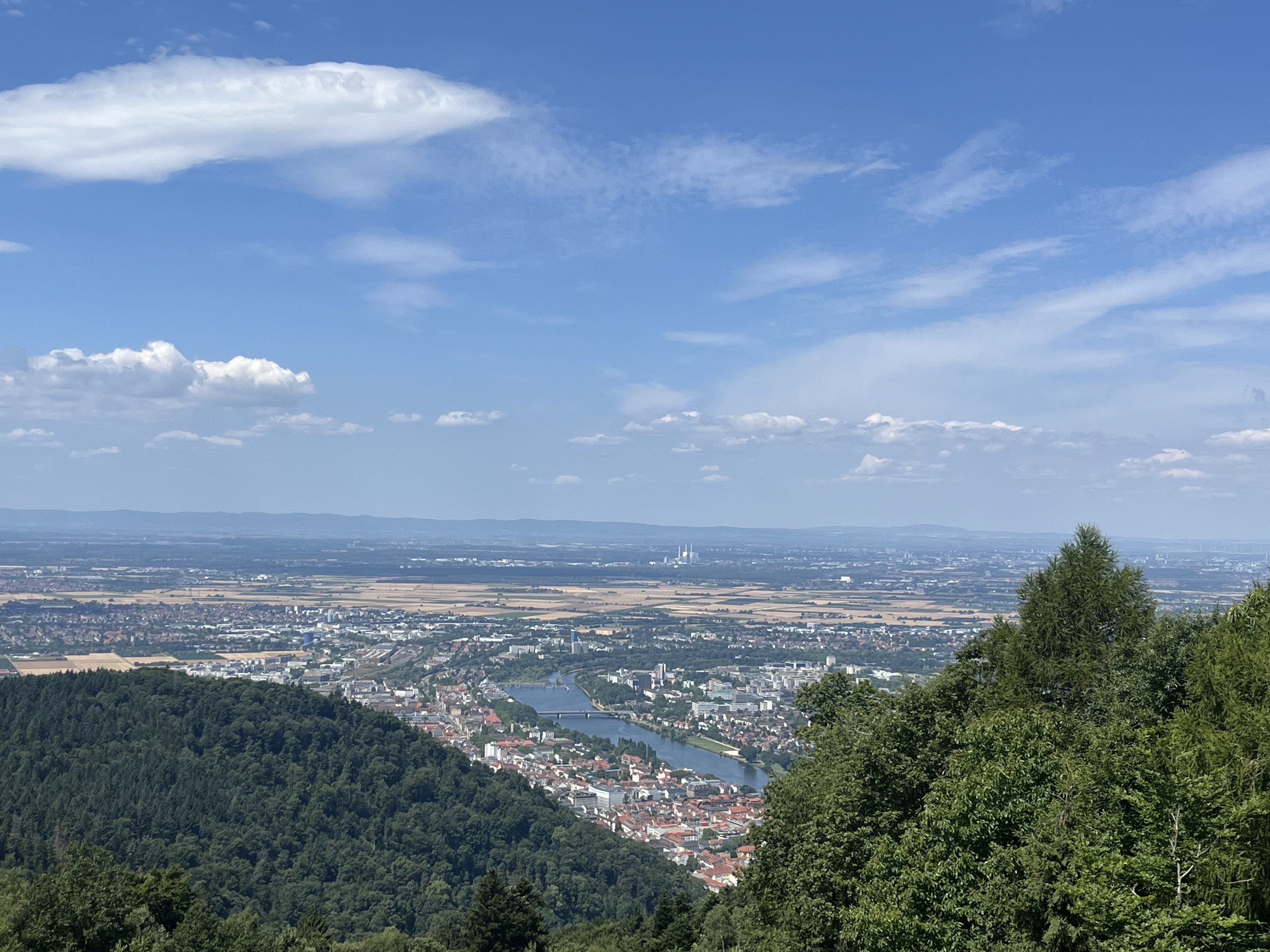 IMG_6860.jpeg