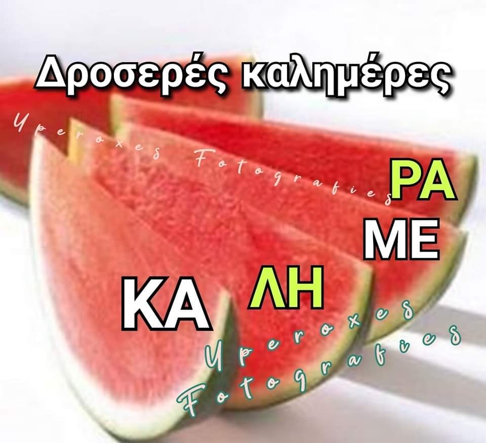IMG_4849.jpeg