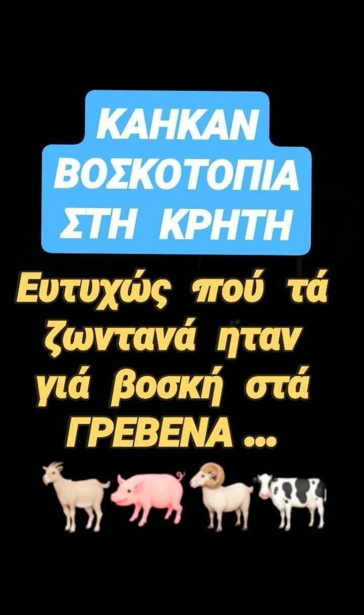 1753214679363.png