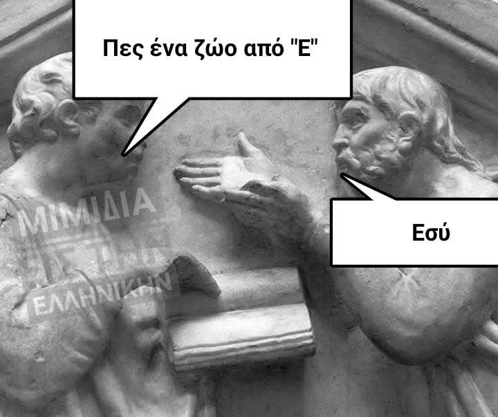 IMG_2088.jpeg