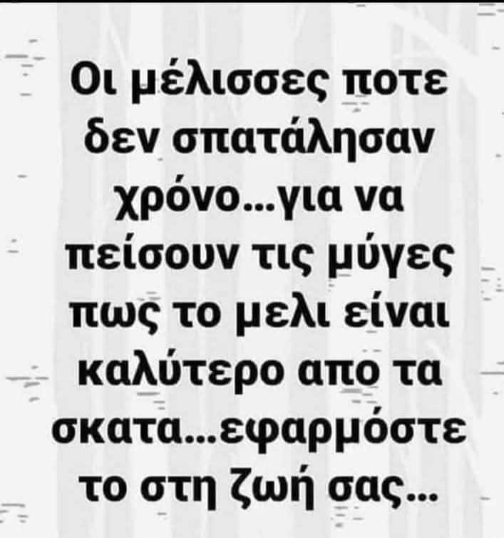 FB_IMG_1754220711360.jpg