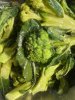 IMG_6978.jpeg