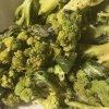 IMG_0380.jpeg