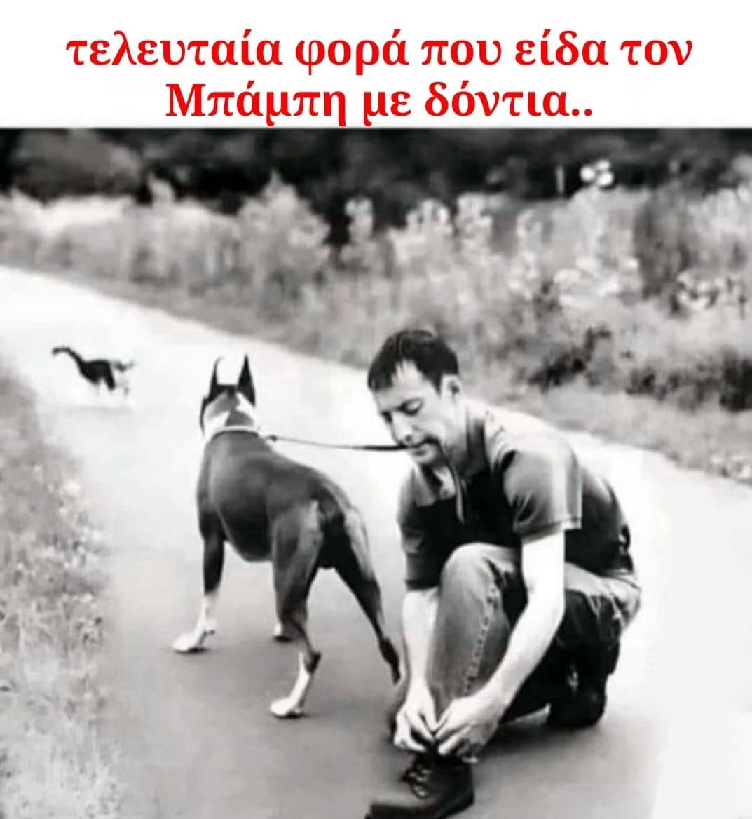 1754598098479.png