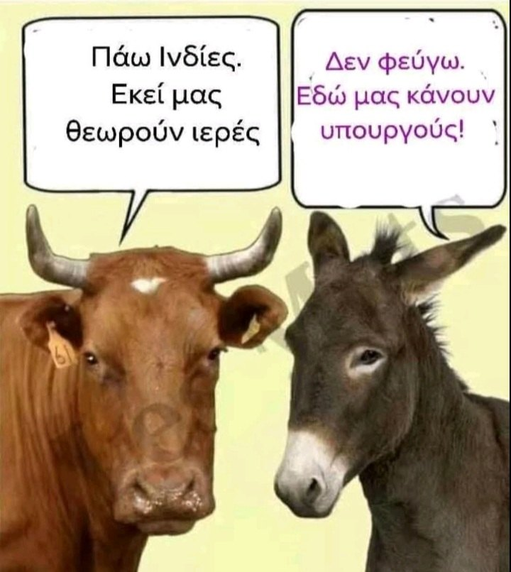 1755128115521.png