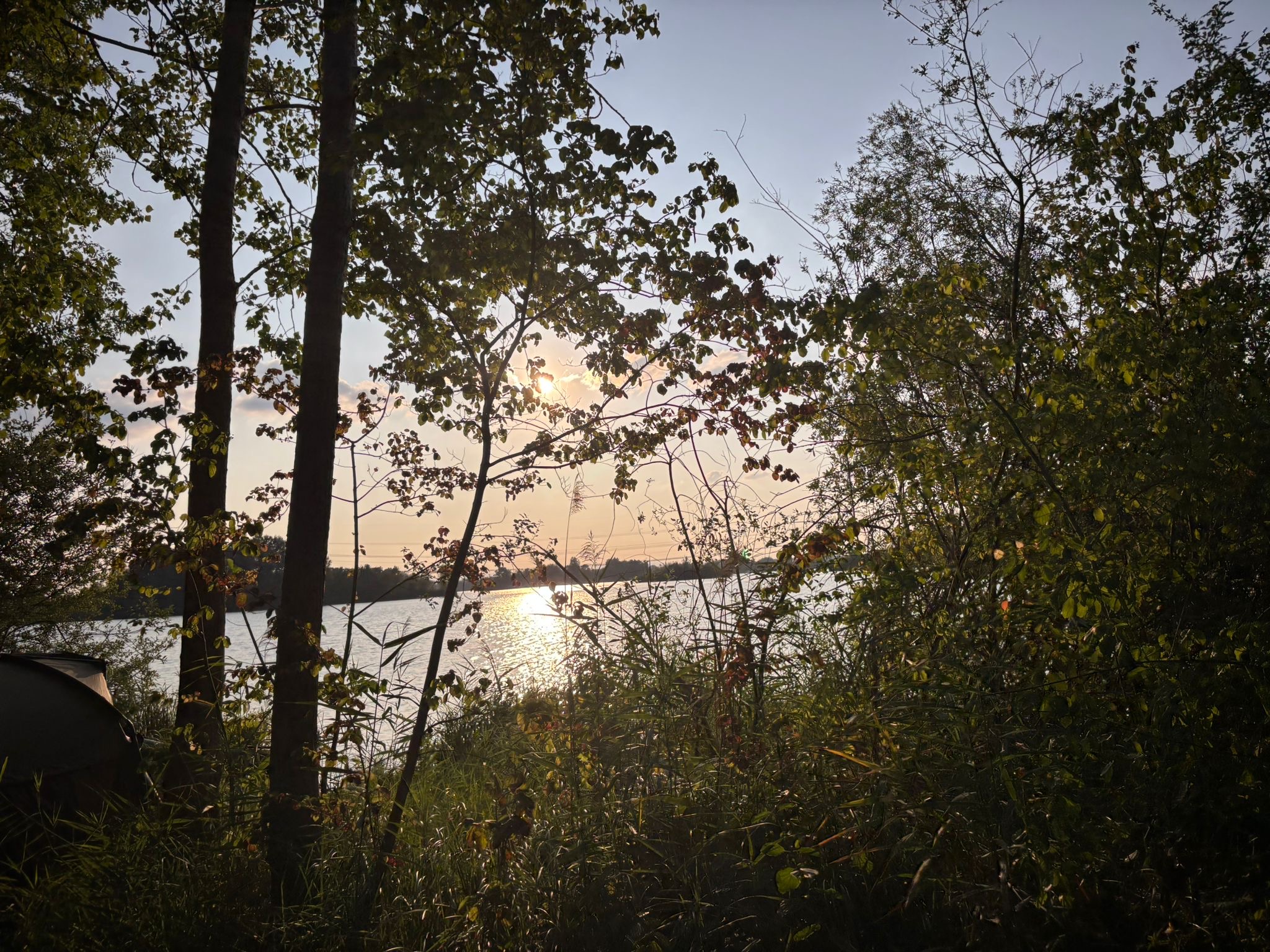 5684f908-5e51-4de5-aa70-d9df650ddb4b.jpeg