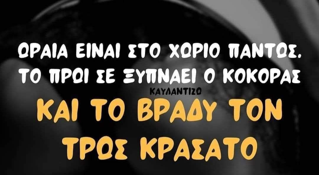 1755392360998.png