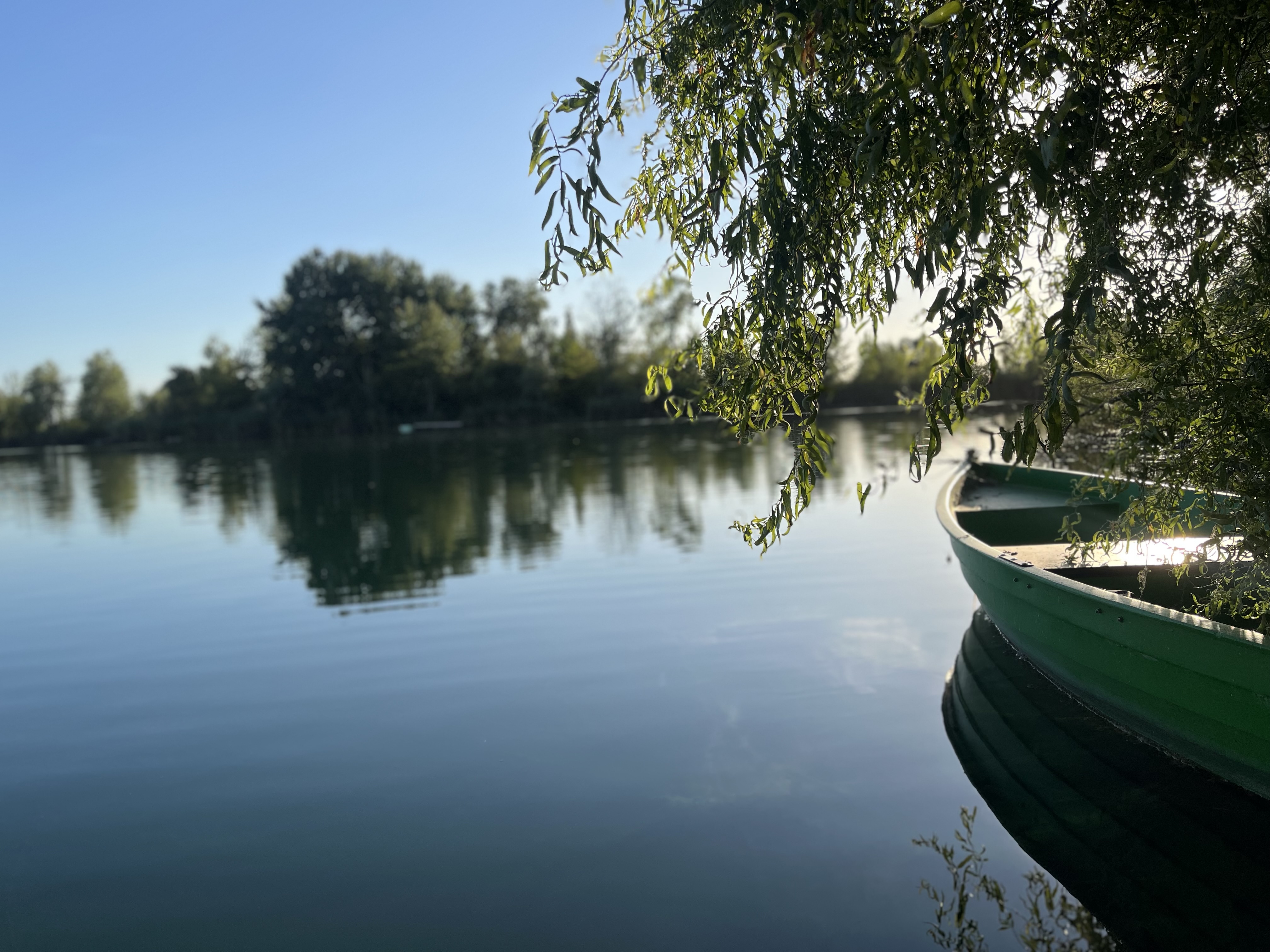 IMG_7125.jpeg