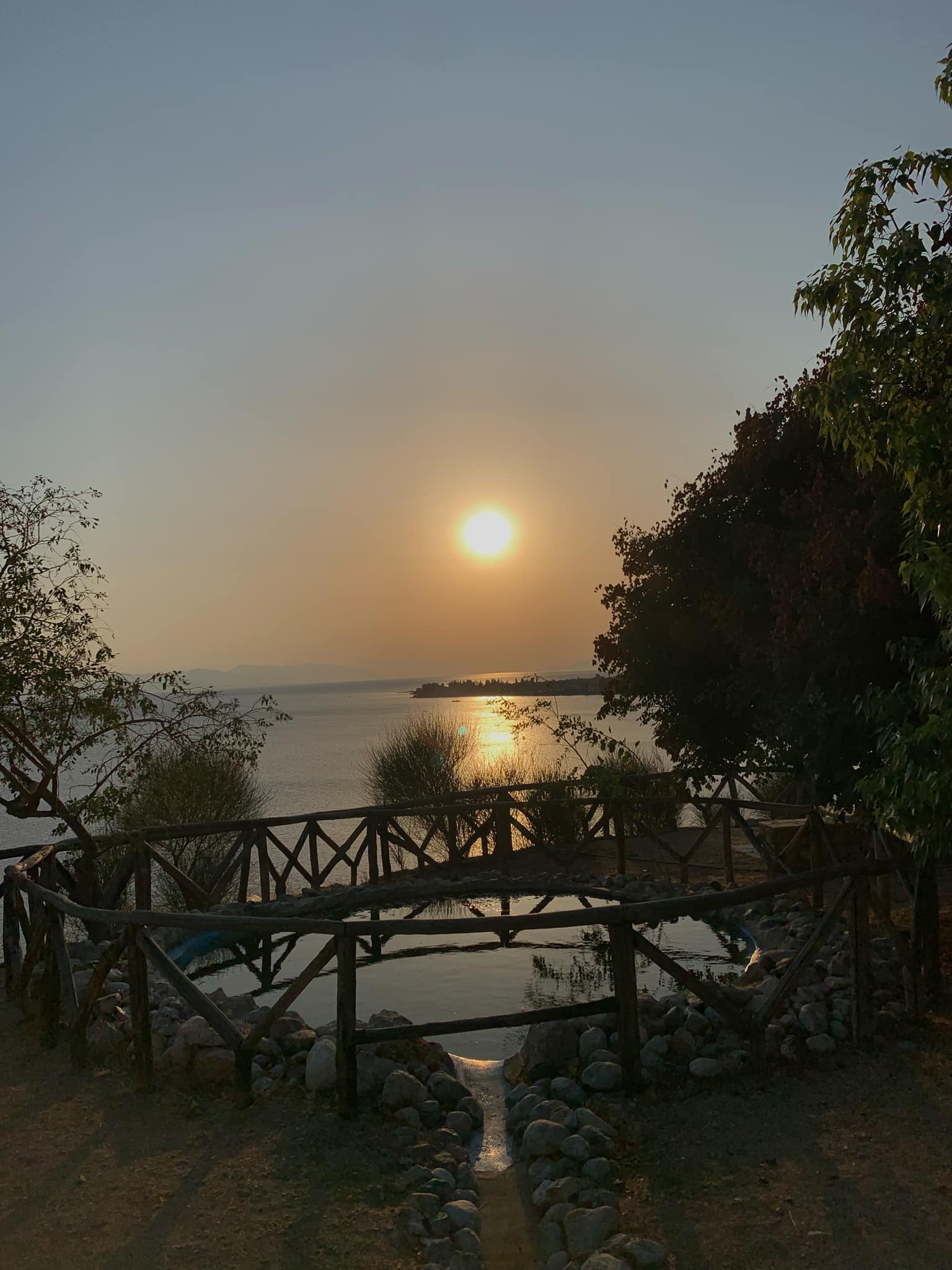 pic12.jpg
