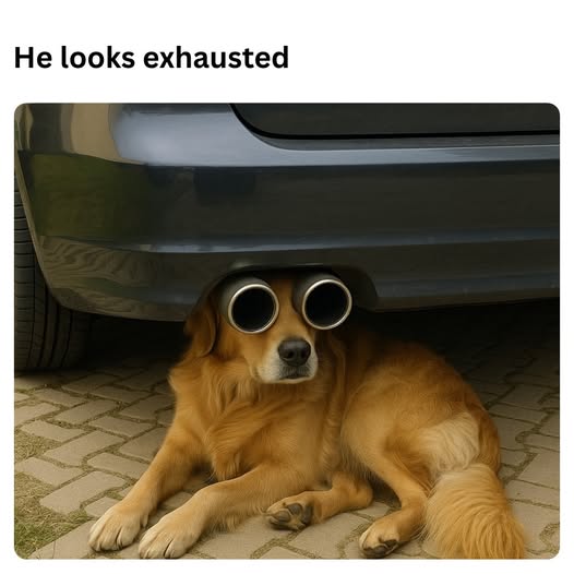 533749658_1086629416936125_3033650990056020465_n.jpg