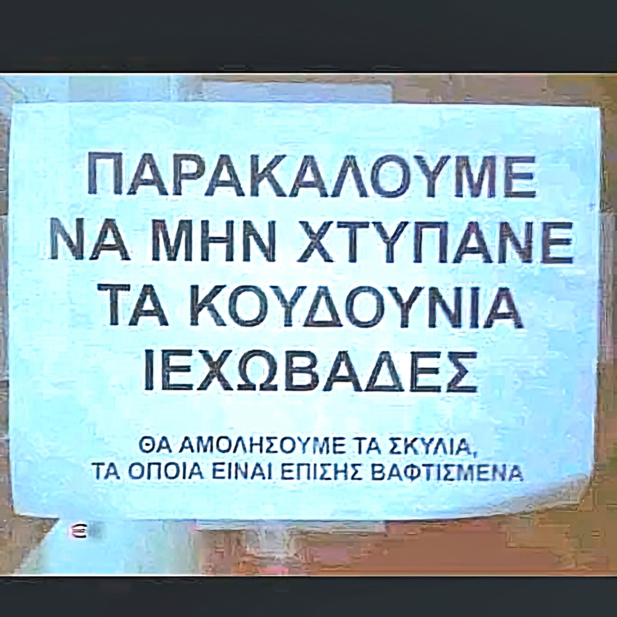 541194375_1105313345045117_6610550159093864989_n.jpg