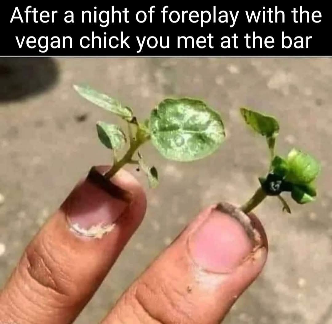 1000016850.jpg