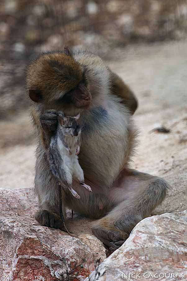DSC_0025.jpg