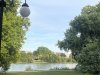 IMG_7436.jpeg