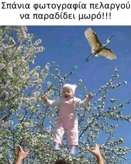 img_2_1758524138490.jpg