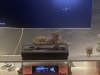 IMG_5872.jpeg