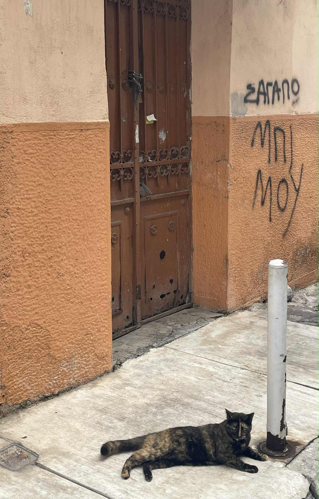 att.bTl2IHpiuXkNLoNr7vHoVhtQ795cC3AXLzagd83K50M.jpeg