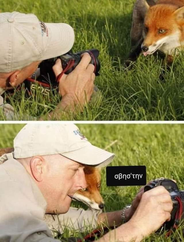 1759451858217.png