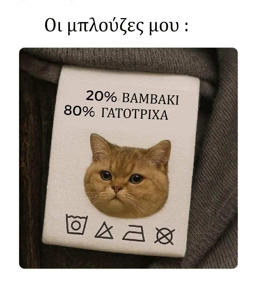 att.3IRjDi2RXitMYnGc3KoBr19SIEOO9G6qV4pkCa7SHCc.jpeg