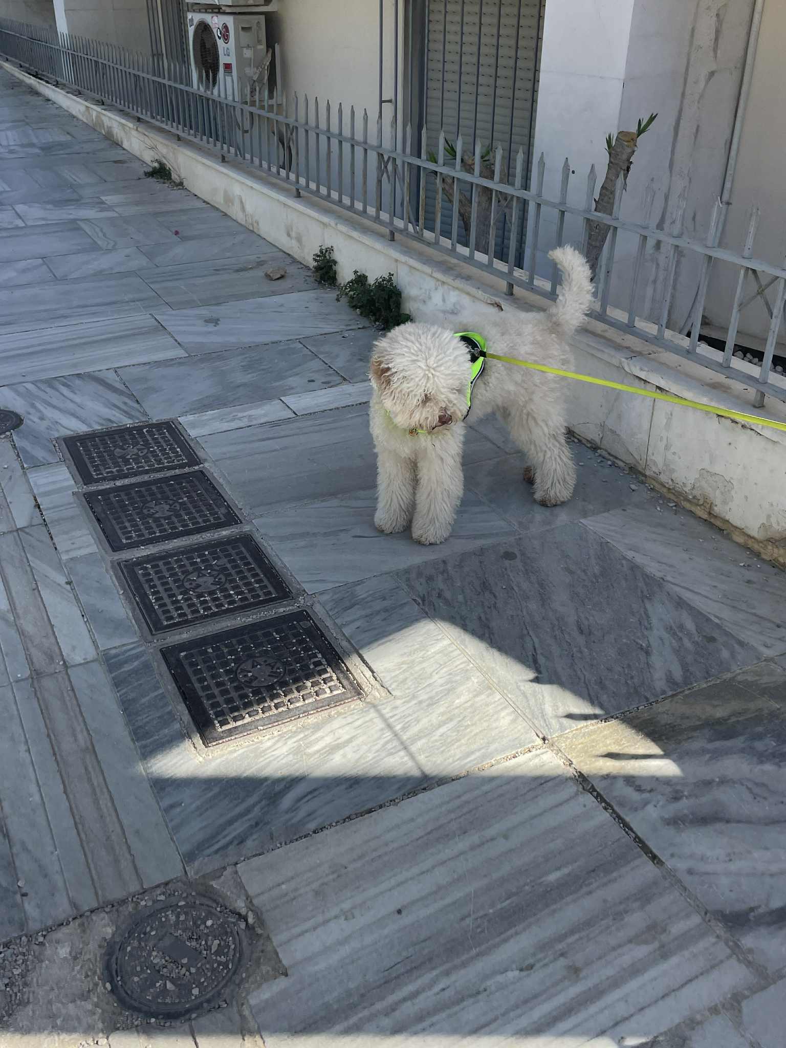 att.aQQk50wJmcc_pNpS1HLxJdgLvst1ZUWxUnPFPK_j5ig.jpeg