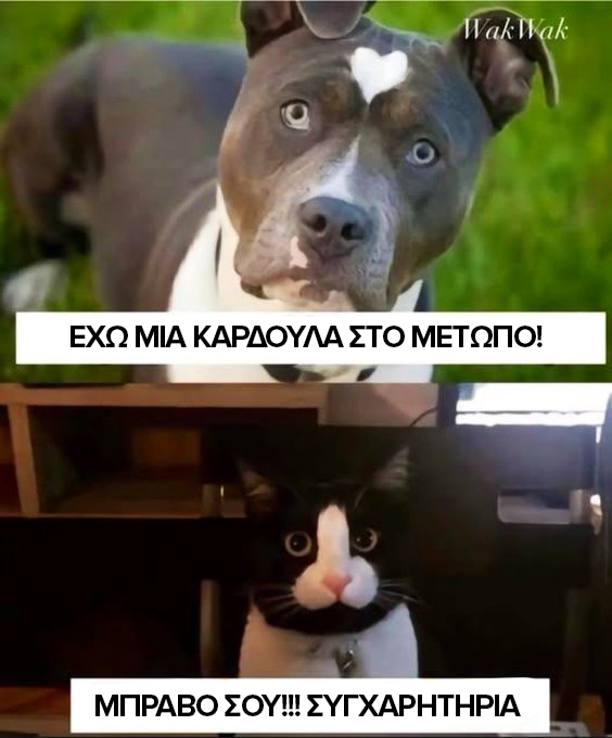 G2peFIUWsAAD_Hl.jpg