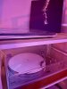 IMG_0015.jpeg