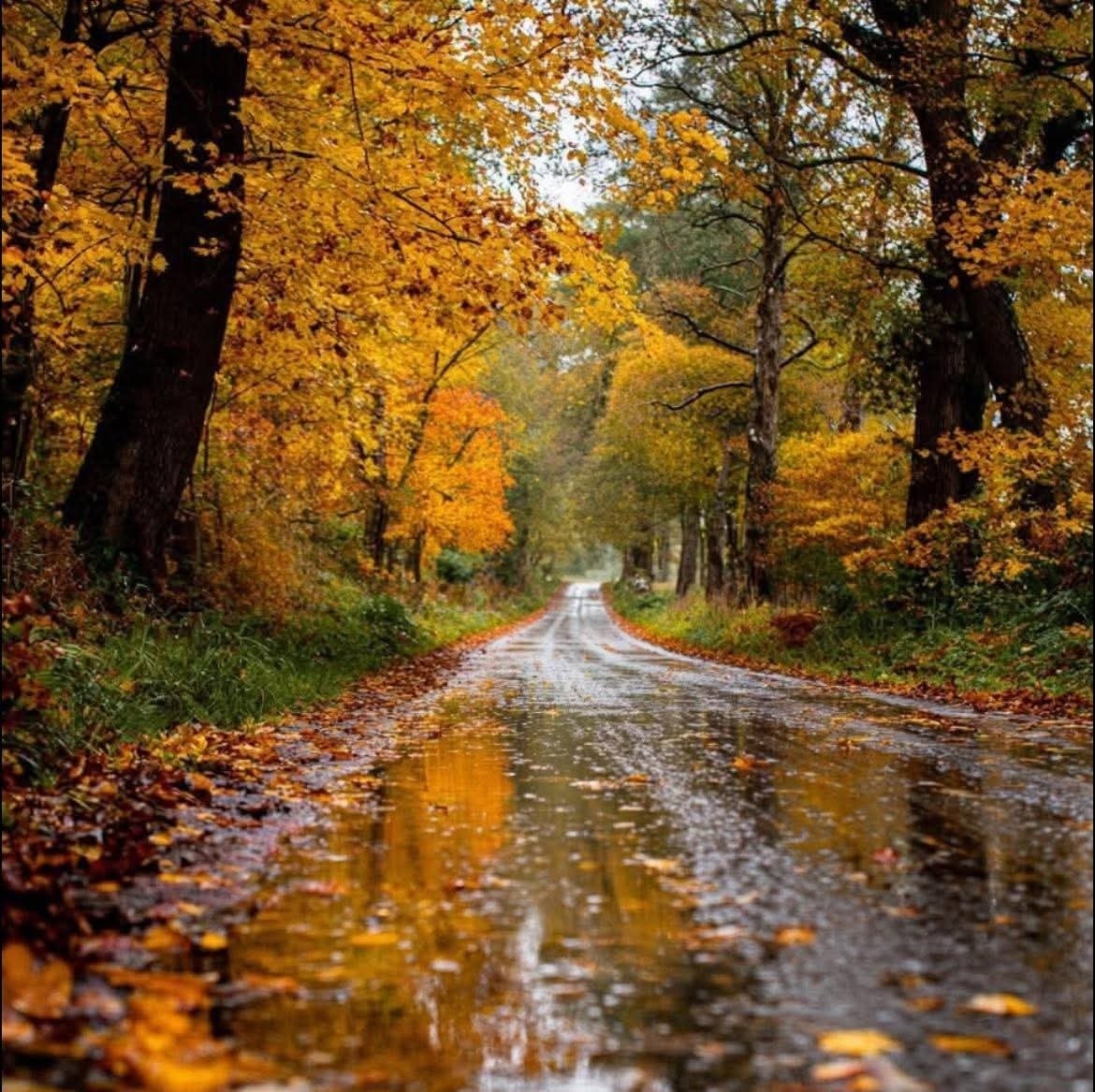 Φλώρινα 2.jpg