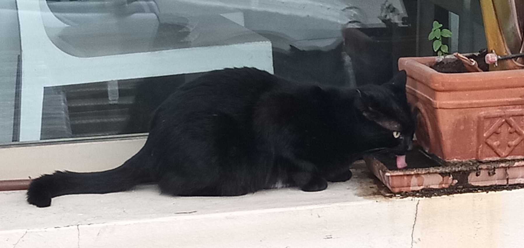 IMG_20251101_091516_560 (1) (1).jpg