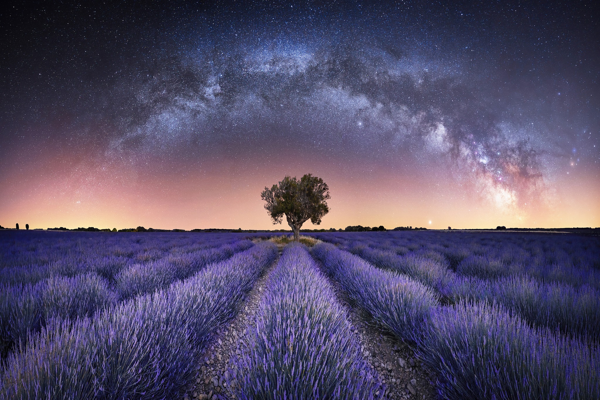 @Stefan Liebermann Photography .jpg