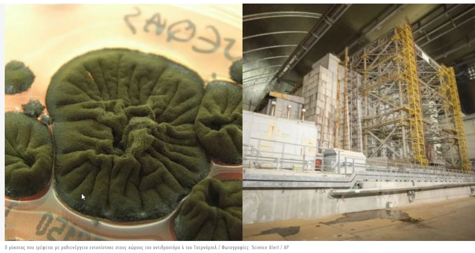 2025-12-02 15_33_17-.png