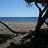 thecretan