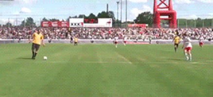 GIF by Demic