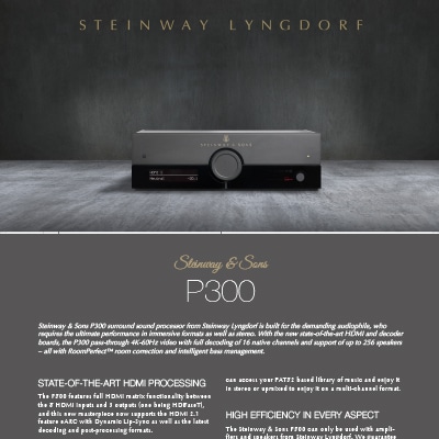 steinwaylyngdorf.com