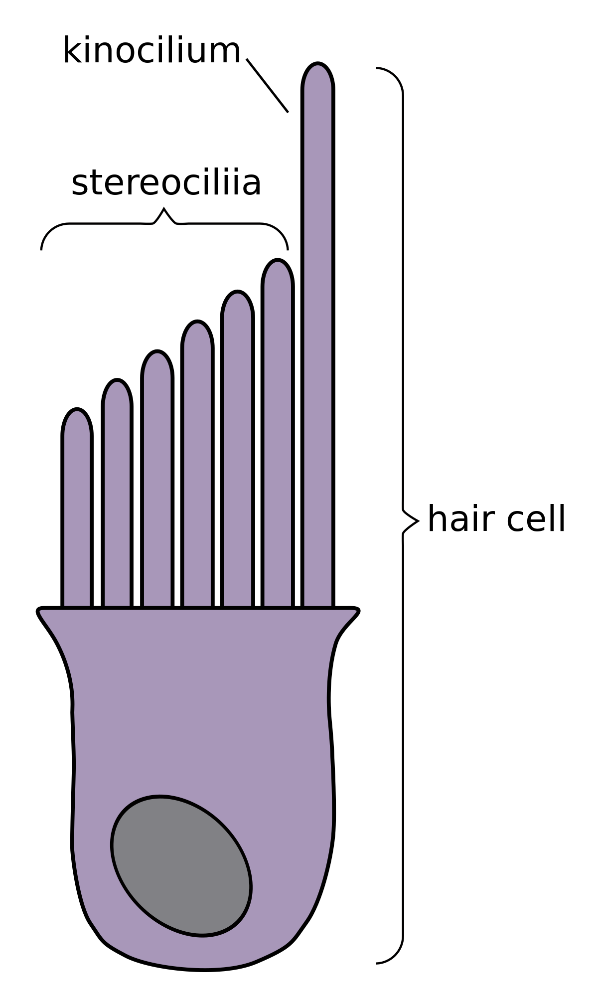 en.wikipedia.org