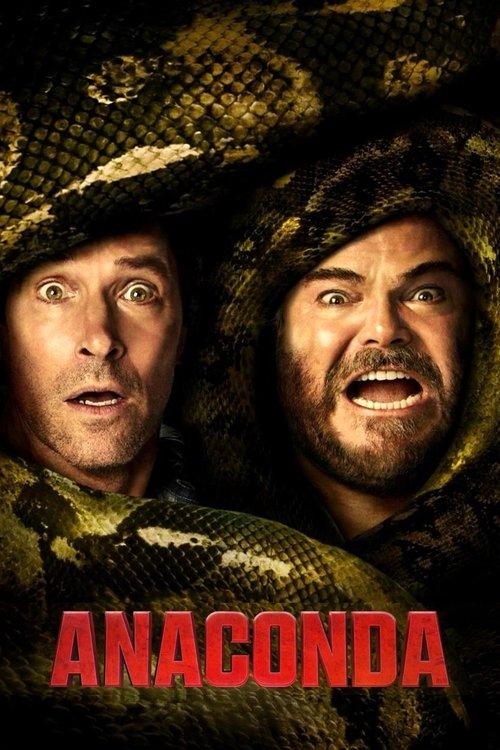 www.themoviedb.org