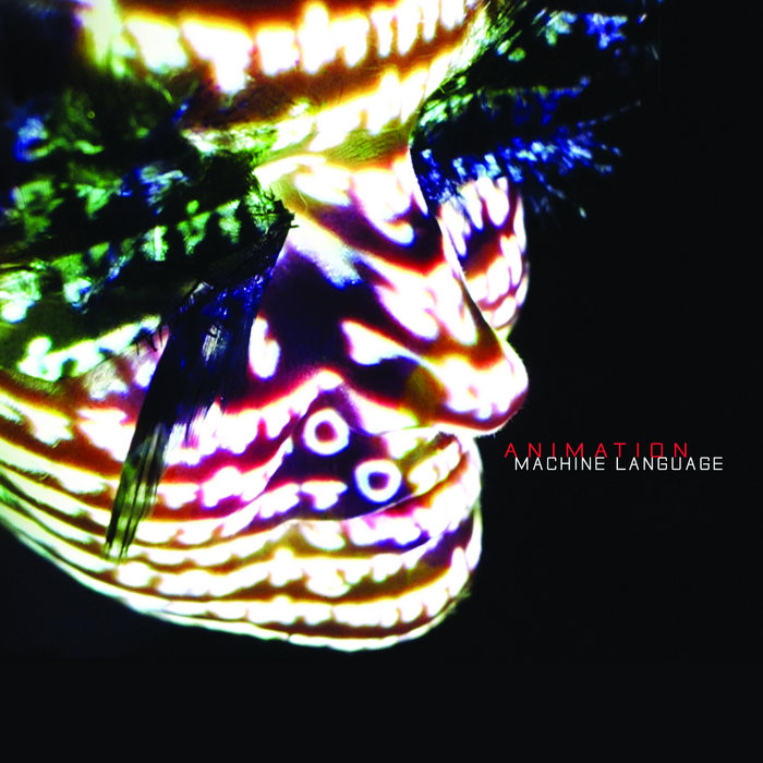 animationismusic.bandcamp.com