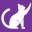 excitedcats.com