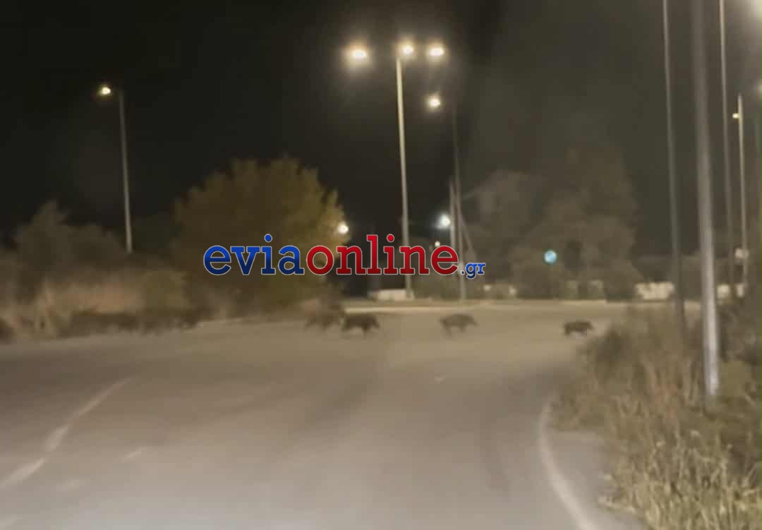 eviaonline.gr